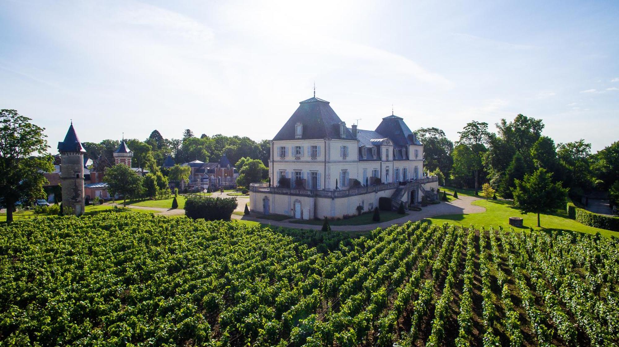 Chateau & Spa De La Cueillette Meursault Exterior foto