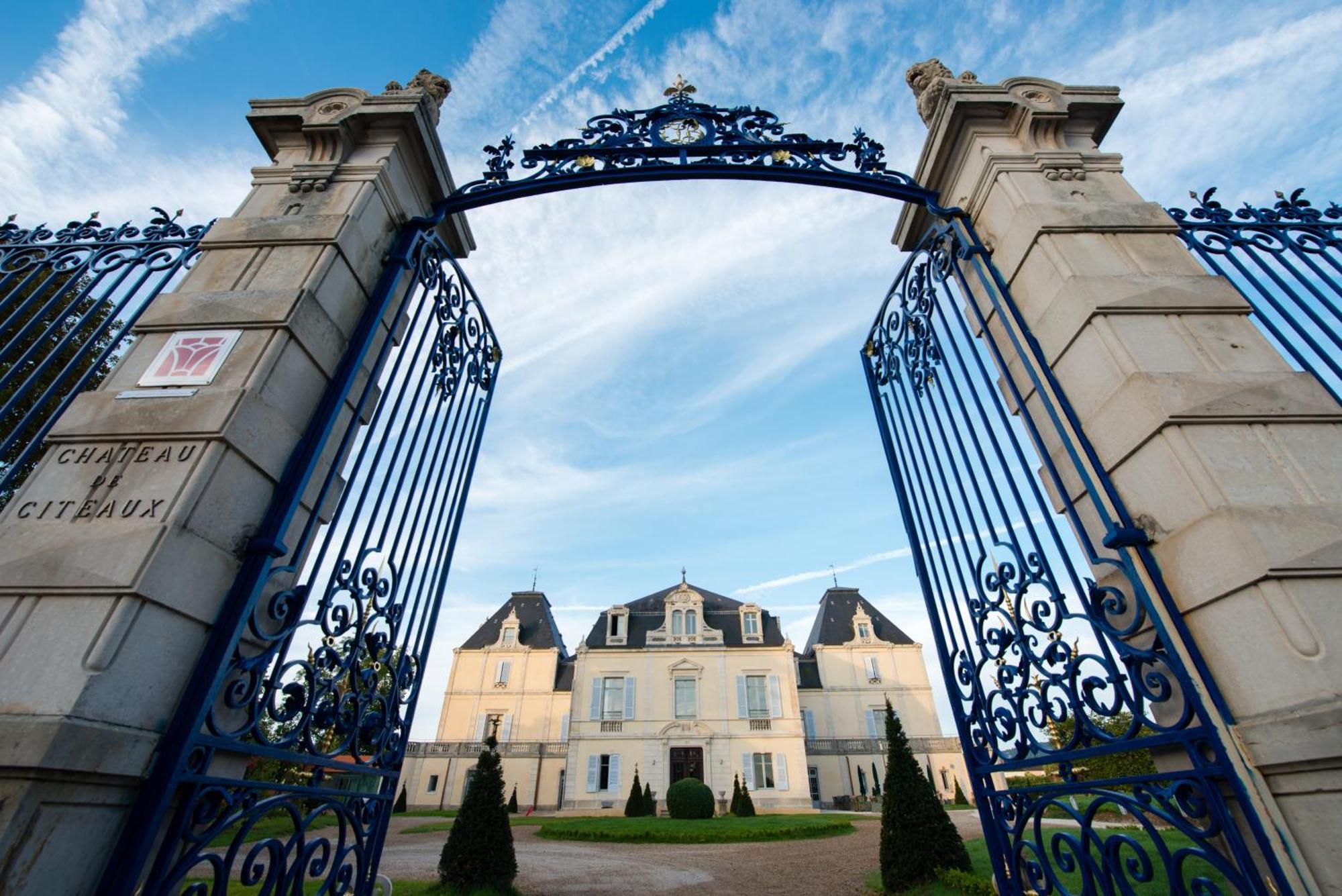 Chateau & Spa De La Cueillette Meursault Exterior foto